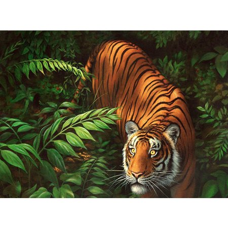 Peinture par numéro - Cadre Tigre dans les fougères