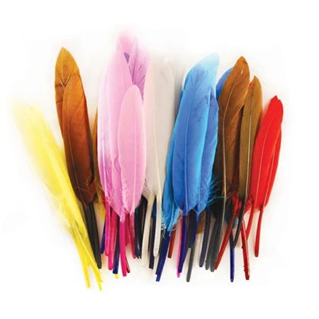 50 plumes d'oies 4''-6''- multicolore