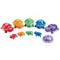 Ensemble de tortues numérotées et colorées