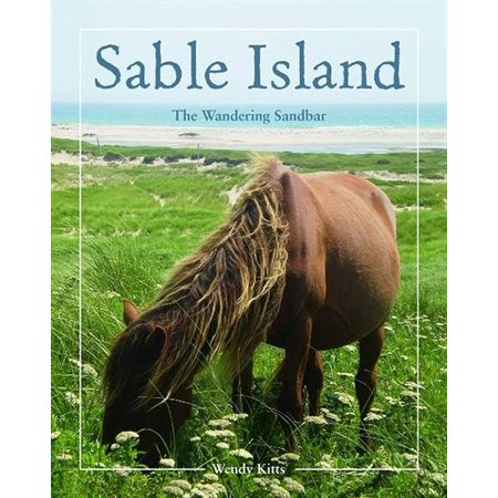 Sable Island: The Wandering Sandbar