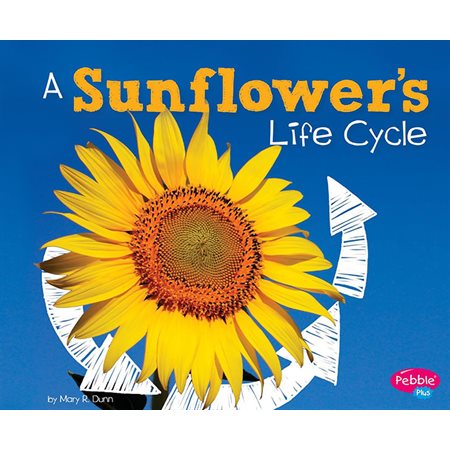 A Sunflower's Life Cycle