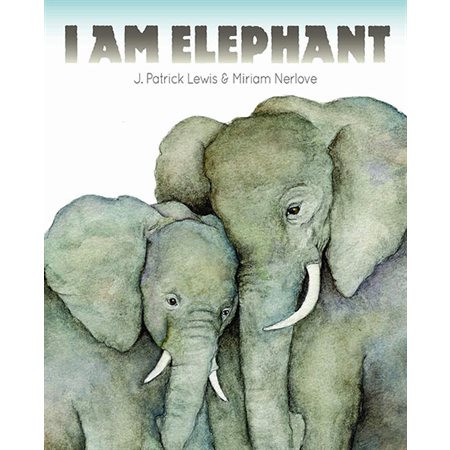 I Am Elephant