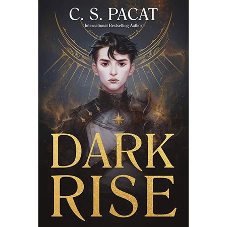 Dark Rise (Book 1)
