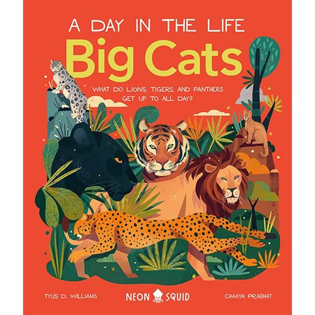 Big Cats: a Day in the Life