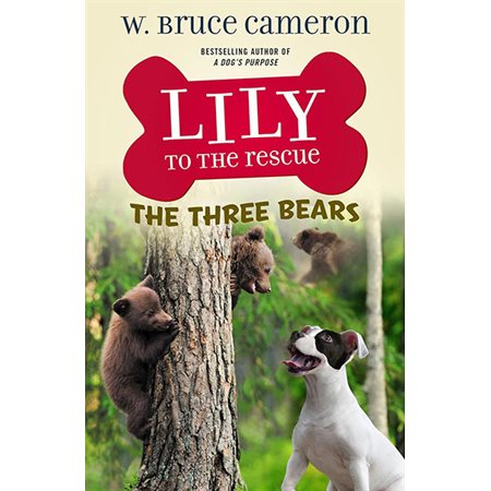 The Three Bears, book 8, Lily to the Rescue!