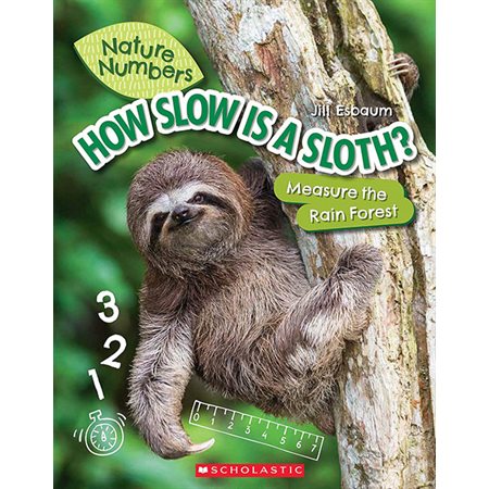 How slow is a sloth?