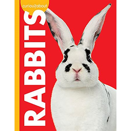 Curious about Rabbits