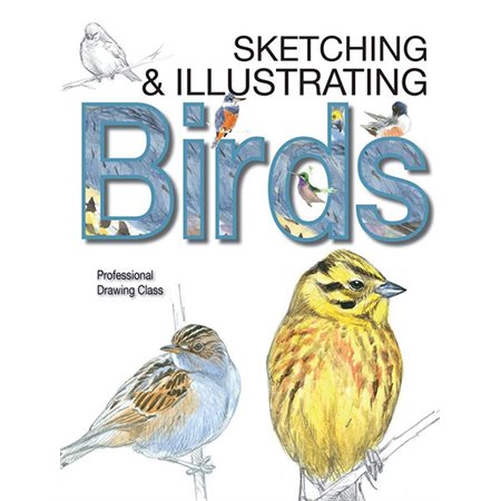 Birds: Professional Drawing Class: Sketching & Illustrating