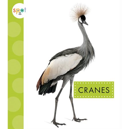 Cranes: Spot Big Birds