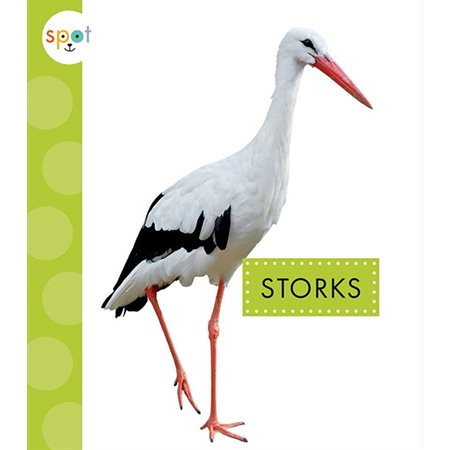 Storks: Spot Big Birds