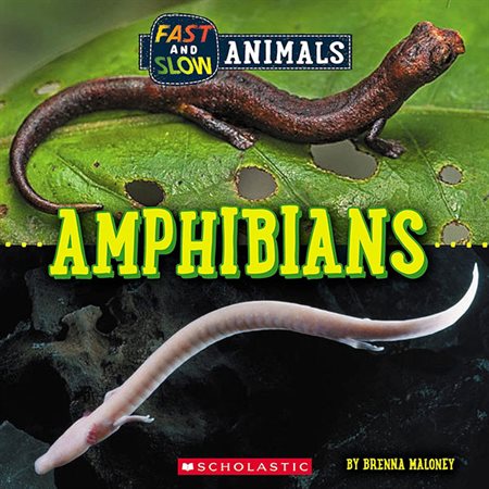 Amphibians: Fast and Slow Animals