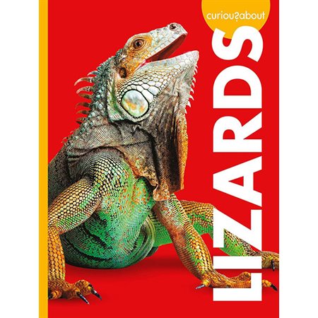 Curious about Lizards