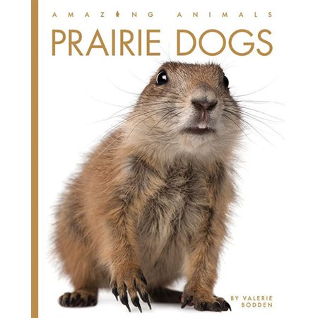 Prairie Dogs: Amazing Animals