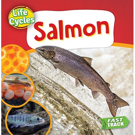 Salmon: Life Cycles