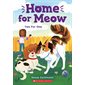 Two Fur One, book 4, Home for Meow