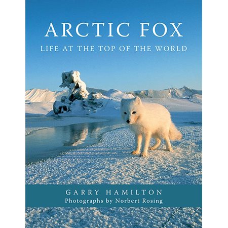 Arctic Fox: Life at the Top of the World