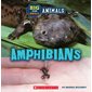 Amphibians: Big and Small Animals: Wild World