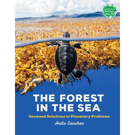 The Forest in the Sea: Seaweed Solutions to Planetary Problems