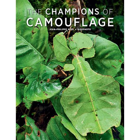 The Champions of Camouflage