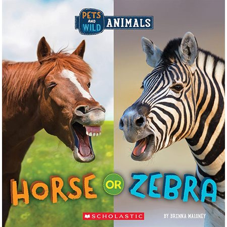 Horse or Zebra