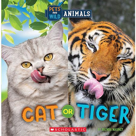 Cat or Tiger