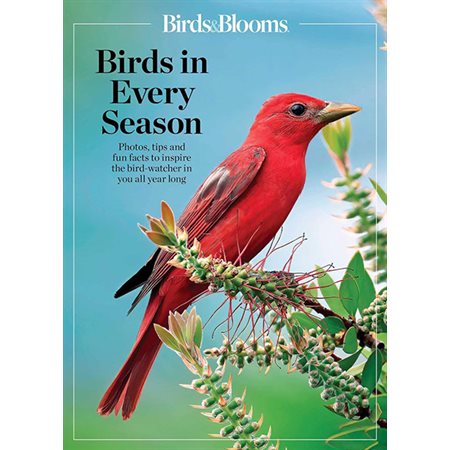 Birds in Every Season