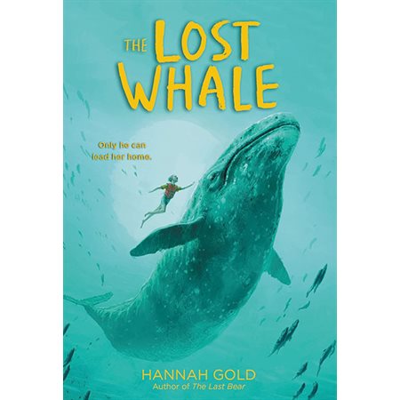 The lost Whale