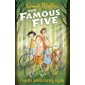 Famous Five : Five go adventuring again, book 2