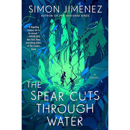 The spear cuts through water : A novel