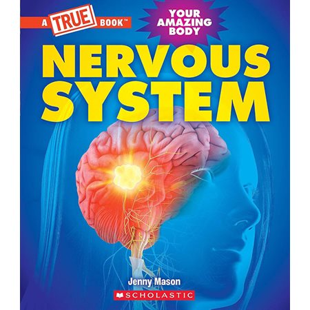 Nervous system: Your amazing body