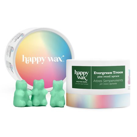 Happy wax: Cire parfumée à faire fondre - sapin