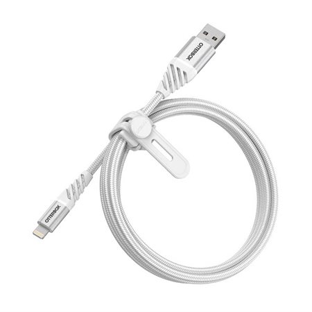 Câble de charge / synchronisation Lightning 4' blanc