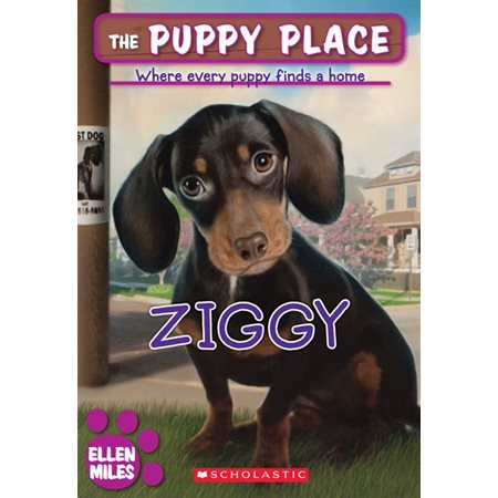 The Puppy Place #21: Ziggy