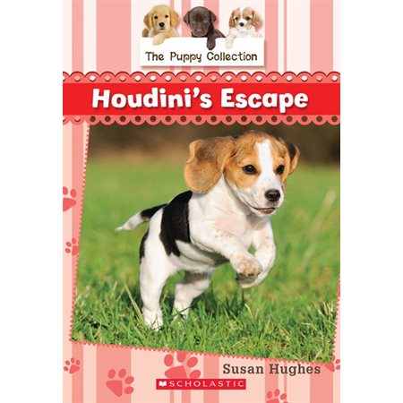 The Puppy Collection #7: Houdini's Escape