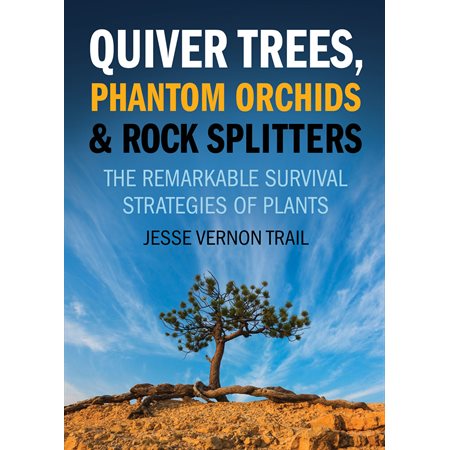 Quiver Trees, Phantom Orchids and Rock Splitters