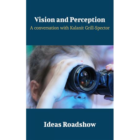 Vision and Perception