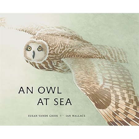 An Owl at Sea