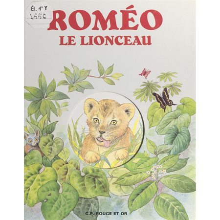 Roméo le lionceau