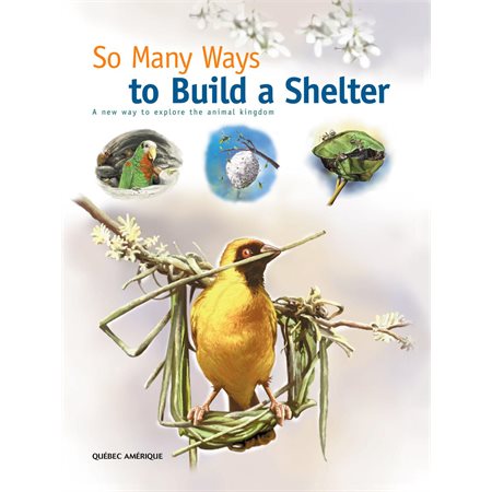 So Many Ways to Build a Shelter