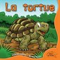 La tortue