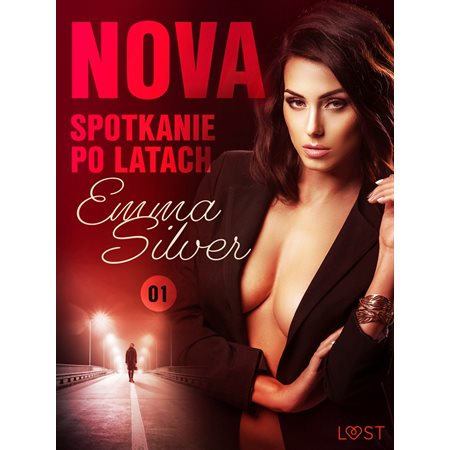 Nova 1: Spotkanie po latach - Erotic noir