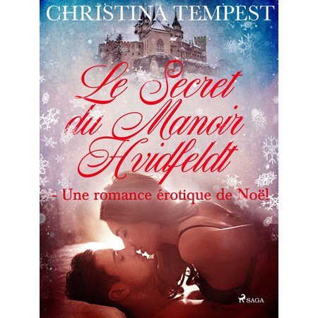 Le Secret du Manoir Hvidfeldt – Une romance érotique de Noël