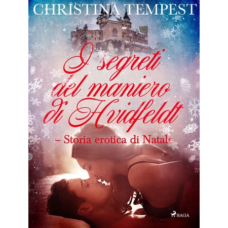 I segreti del maniero di Hvidfeldt - Storia erotica di Natale