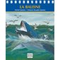 Ciné-faune - La baleine