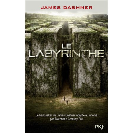 Le labyrinthe, Tome 1, L'épreuve