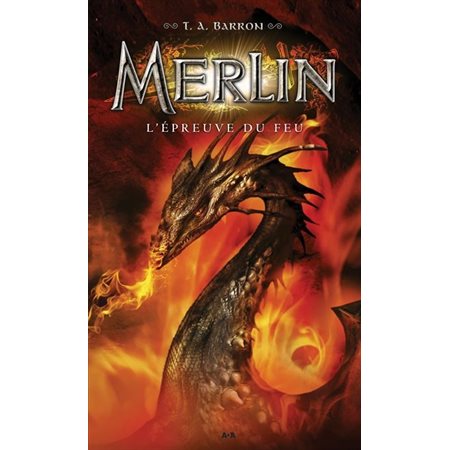 L'épreuve du feu, Tome 3, Merlin