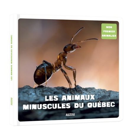 Les animaux minuscules au Québec