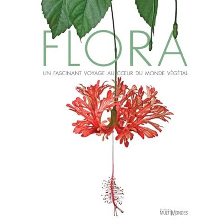 Flora: un fascinant voyage au cœur du monde végétal