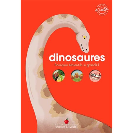 Dinosaures: pourquoi étaient-ils si grands ?