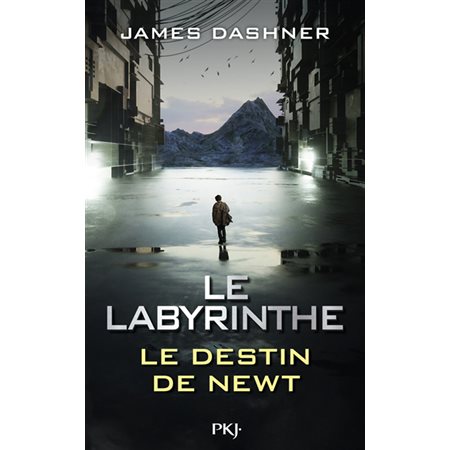 Le labyrinthe: le destin de Newt, l'épreuve